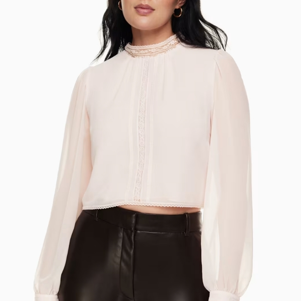 Wilfred Butterfly Blouse, XS, Talc Pink, NWOT
